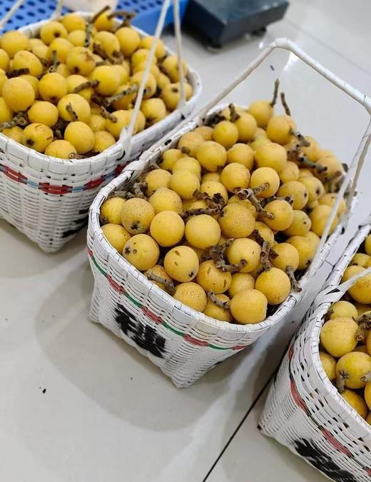 现摘兰溪穆坞白枇杷（3.5斤装） 商品图0