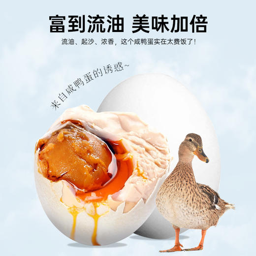 丁山河 初生海鸭蛋45克×20枚 商品图2