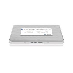 Illumina转座酶UDI接头（管式/板式）