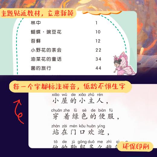 《蝴蝶豌豆花 -金波著》小学课外阅读推荐书目 商品图3