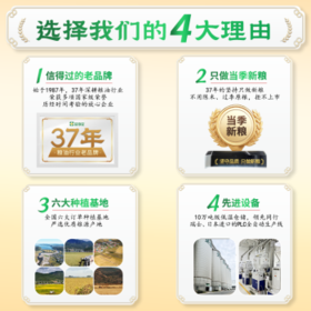 花中花 汉王丝苗香米20斤 南方大米长粒香米一级籼米家庭真空包装10KG /粮油调味 /米 /丝苗米