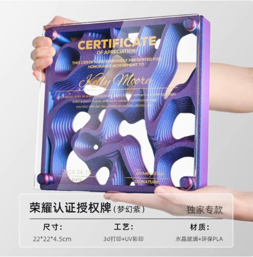 创意新款水晶奖杯定制高档方形奖牌代理经销商纪念荣誉授权牌定做 商品图5
