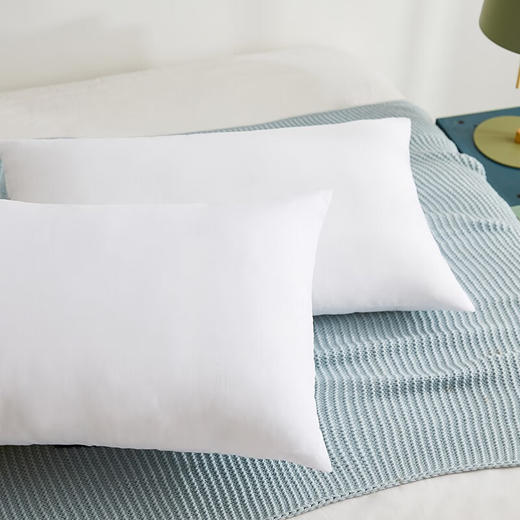 【多样屋专柜】罗莱防螨安睡对枕 颈椎枕五星酒店枕舒眠安睡柔丝枕头47*73cm 商品图2