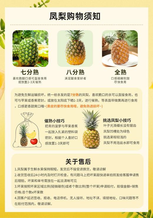 海南金钻凤梨4.5斤/8.5斤 商品图5