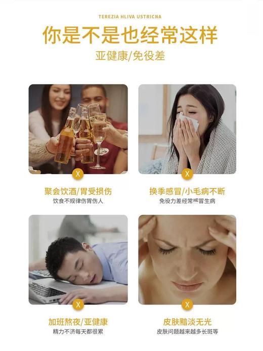 捷克TEREZIA特蕾西亚免疫力胶囊 牡蛎蘑菇和沙棘强免Y消化好60粒 商品图1