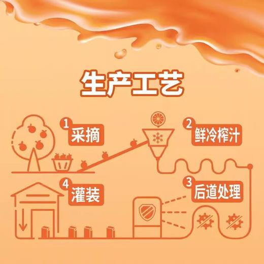 北冰洋100%NFC 桔汁125ml*4 商品图2