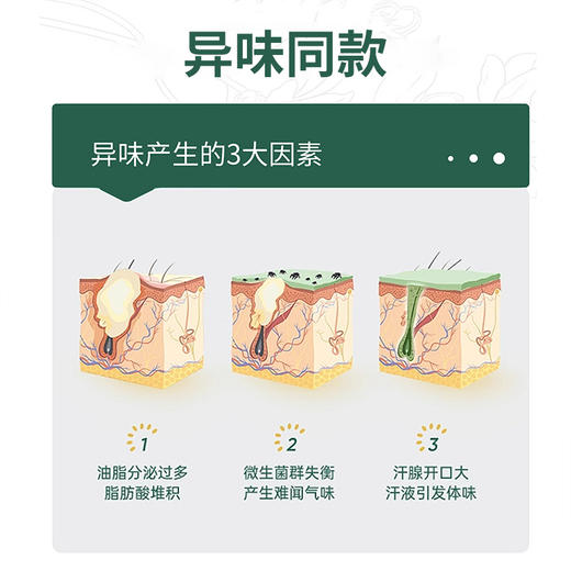 【兰渚堂自研】6号喷剂 商品图2