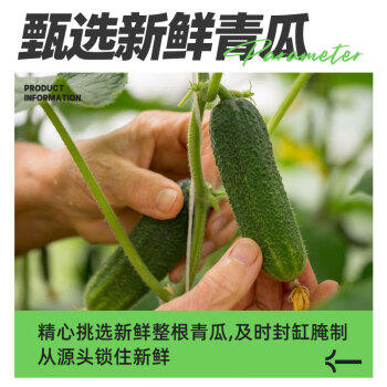 冠利酸甜青瓜670g 德国原装进口酸黄瓜 面包三明治西餐配菜腌黄瓜即食 /粮油调味 /调味品 /榨菜/酱腌菜 商品图3