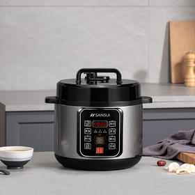 山水（SANSUI）5L智能电压力锅SY-50D51