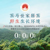 【富硒高端】茶马世家特级恩施来凤藤茶礼盒60g 商品缩略图4