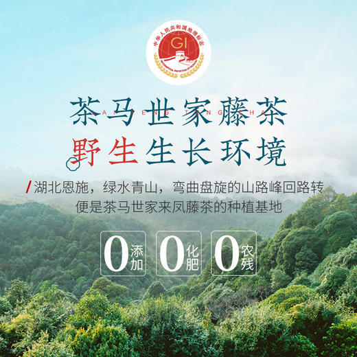 【富硒高端】茶马世家特级恩施来凤藤茶礼盒60g 商品图4