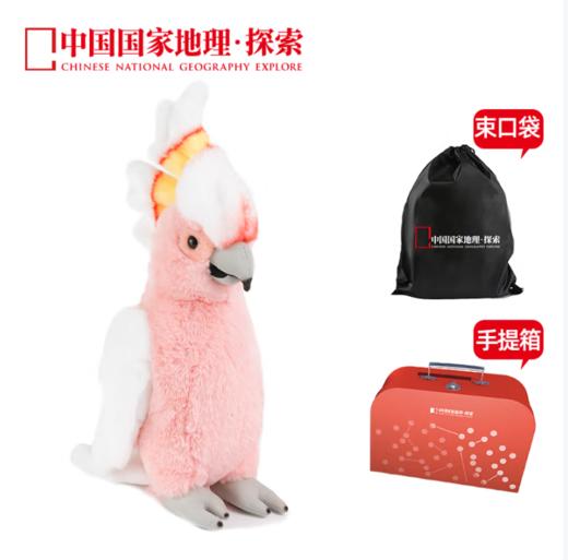 中国国家地理·探索仿真动物毛绒玩偶凤头鹦鹉金刚鹦鹉玩具礼盒装生日礼物 凤头鹦鹉28cm 礼盒装 商品图1
