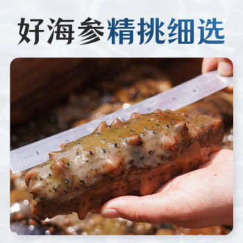 好参道大连淡干海参干货 150g 30只 净制辽刺参海鲜水产礼盒装 /粮油调味 /南北干货 /干海参 商品图7