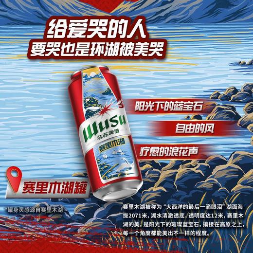 乌苏 啤酒 ≥4.0度 500ml 商品图1