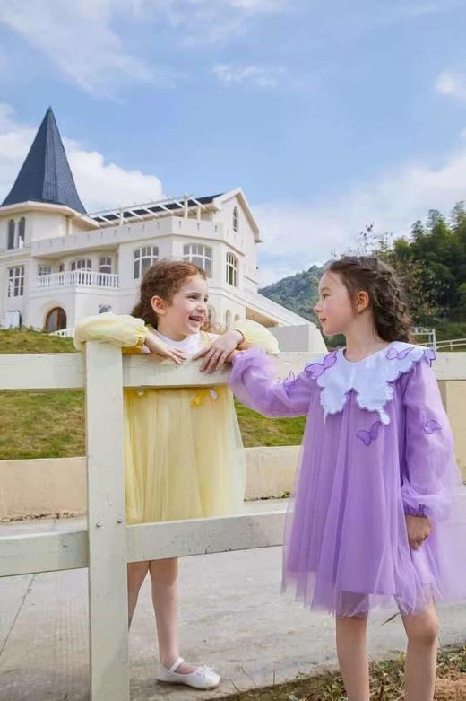 考拉月亮【特价不退】koalamoon童装儿童女童网纱连衣裙蝴蝶型衣领 公主裙C11Q2351T 商品图1