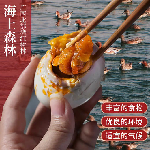 丁山河 本草蟹黄鸭蛋70克×12枚 商品图2