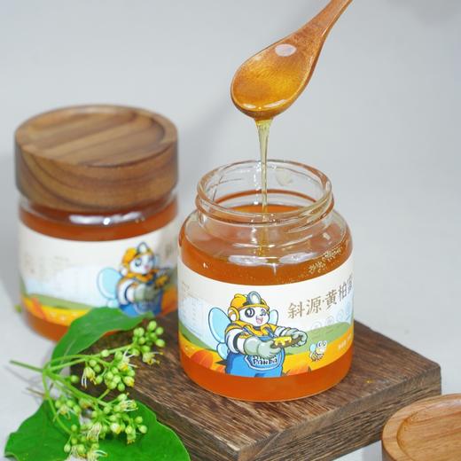 【山界好物】斜源黄柏蜂蜜380g农家土蜂蜜 商品图3