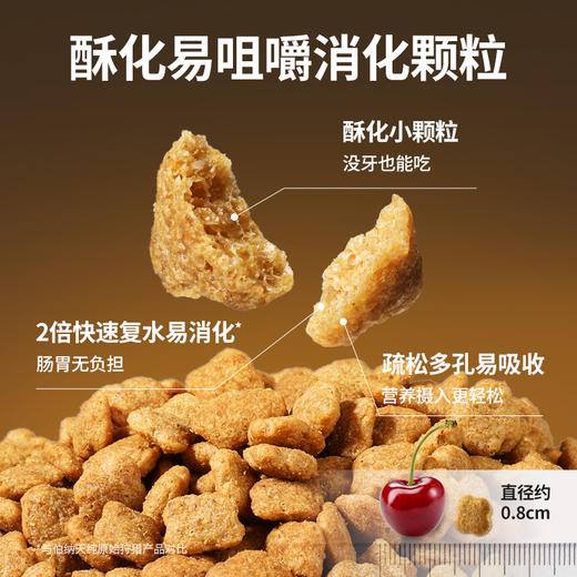 伯纳天纯旗舰老年犬狗粮柯基雪纳瑞小型中大型犬全价老年期专用狗粮12+ 商品图1