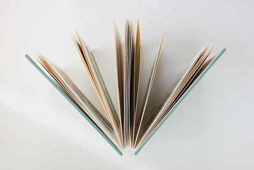 老树画画刘树勇老师的全新力作“老树册页”系列：《春色无边》《有时候》 商品图3