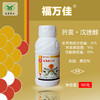 冠龙福万佳 肟菌•戊唑醇  防治炭疽、白腐、白粉早疫病等 商品缩略图0