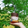 【山界好物】斜源黄柏蜂蜜380g农家土蜂蜜 商品缩略图1