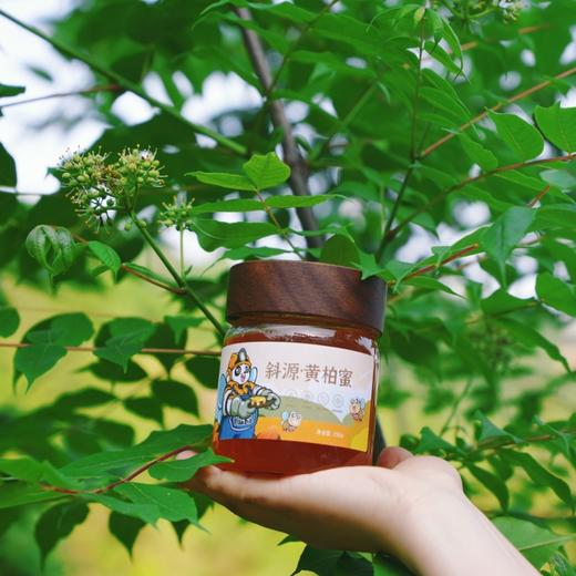 【山界好物】斜源黄柏蜂蜜380g农家土蜂蜜 商品图1