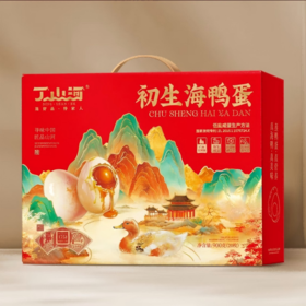 丁山河 初生海鸭蛋45克×20枚