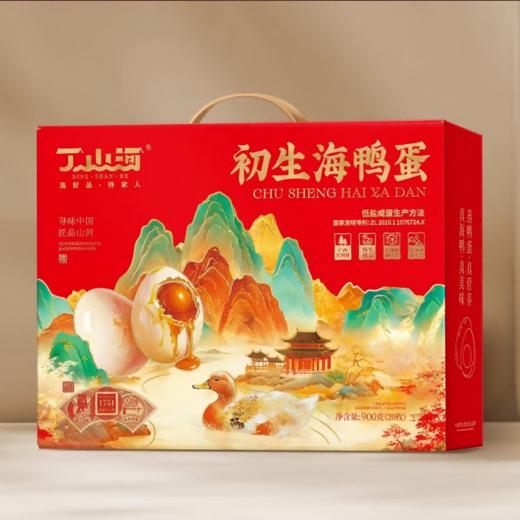 丁山河 初生海鸭蛋45克×20枚 商品图0