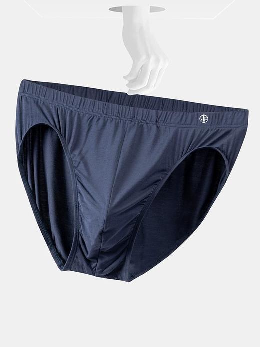 【超细莫代尔】SCHIESSER/舒雅铂雅男士经典款莫代尔三角小裤新老款号随机发货95/0139S/24139S 商品图6