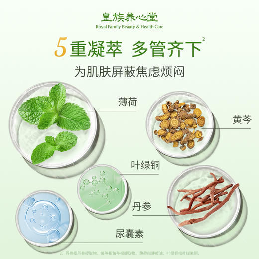 皇族养心堂薄荷净颜粉面膜粉涂抹面膜加水调制净肤控油舒缓肌肤 商品图2