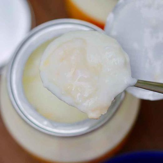 马三三·奶皮子酸奶·500g*2  先撕奶皮 再吃酸奶 商品图2