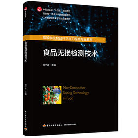 食品无损检测技术（中国轻工业“十四五”规划教材/国家级一流本科课程配套教材）