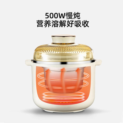 山水（SANSUI）1.2L多功能电炖锅SDZ-19S 商品图4