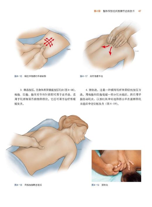 平衡的身体：深层组织与神经肌肉徒手治疗（第4版） 商品图2