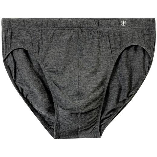 【超细莫代尔】SCHIESSER/舒雅铂雅男士经典款莫代尔三角小裤新老款号随机发货95/0139S/24139S 商品图11