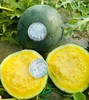 翡翠蒂·蒂金黄西瓜🌹翡翠蒂·蒂金 🍉 黄西瓜稀有品种中的天花板😍皮薄、脆甜、无籽🍉真正的冰淇淋口感西瓜，甜度超高～～ 商品缩略图0