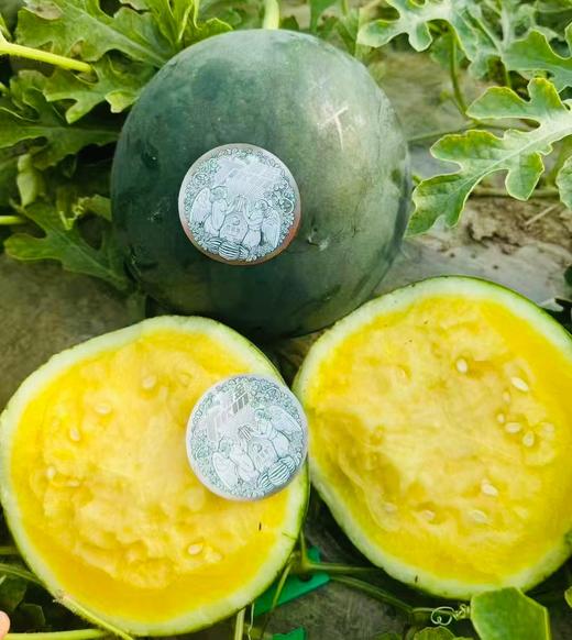 翡翠蒂·蒂金黄西瓜🌹翡翠蒂·蒂金 🍉 黄西瓜稀有品种中的天花板😍皮薄、脆甜、无籽🍉真正的冰淇淋口感西瓜，甜度超高～～ 商品图0