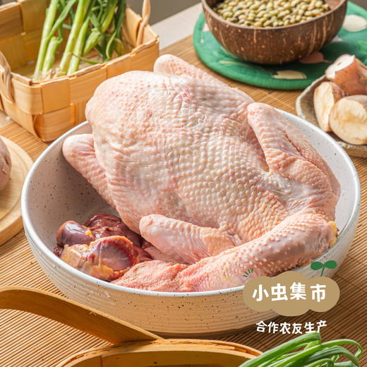 生态散养清远鸡（阉公鸡）| 合作农友生产，产自广州从化，生产者：郭锐 *【公平贸易农人定价】 商品图1