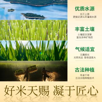 花中花 汉王丝苗香米20斤 南方大米长粒香米一级籼米家庭真空包装10KG /粮油调味 /米 /丝苗米 商品图5