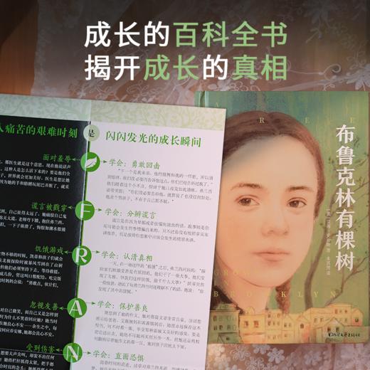 布鲁克林有棵树  浙江文艺 商品图6