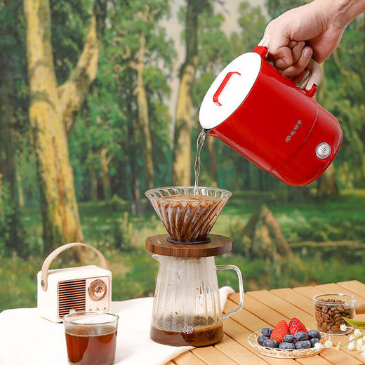 【专柜多样屋】尚朋堂便携式电热水壶小型0.8L 出差旅行多功能烧水杯 商品图5