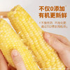 金沃瑞丰有机 白糯玉米棒220g*5根＞2.2斤 新鲜甜粘黏真空 非转基因 早餐 /粮油调味 /杂粮 /谷米类 商品缩略图2