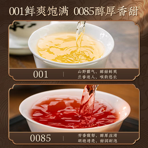 澜沧古茶2024年景迈001+景迈0085云南名山古树普洱茶春茶生茶熟茶小胖饼生熟组合170g（85g*2） 商品图2