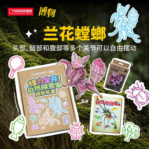 2025年博物六一礼盒  《怪怪宠物箱》1本+拼插纸模1个，拼插纸模有三种款式，变色龙，蝎，螳螂 商品图3