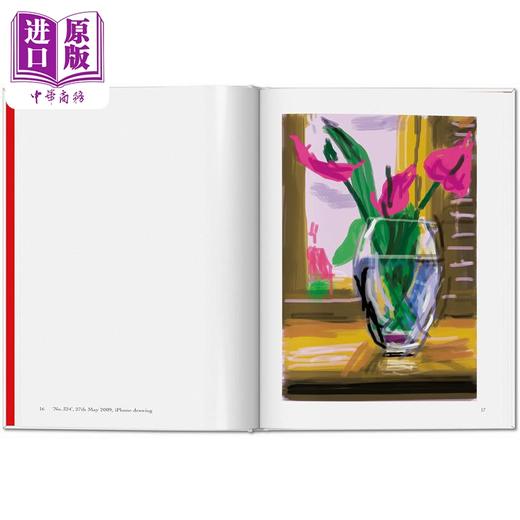 【中商原版】David Hockney My Window 进口艺术 大卫霍克尼 我的窗户 Taschen 商品图4