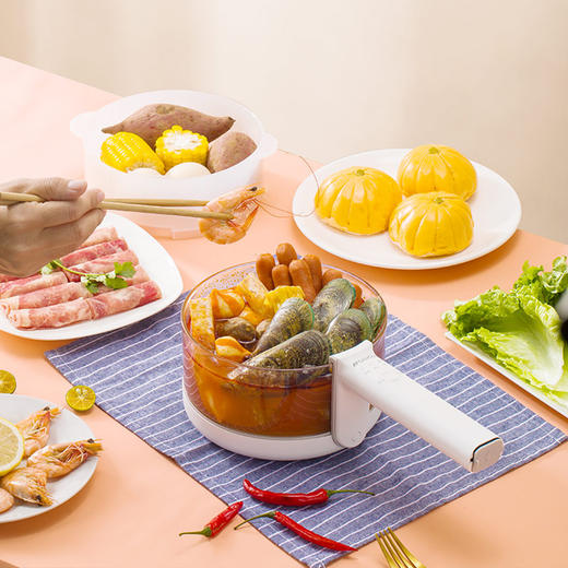 山水（SANSUI）1.6L玻璃款养生锅（配蒸笼）SD-69DY 商品图0