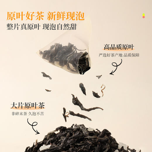 苏小糖X摇摇冰果茶25g（30秒摇出自然鲜果茶） 商品图4