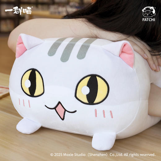 一群喵-瓜子趴趴抱枕 商品图0