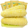 金沃瑞丰有机 白糯玉米棒220g*5根＞2.2斤 新鲜甜粘黏真空 非转基因 早餐 /粮油调味 /杂粮 /谷米类 商品缩略图6