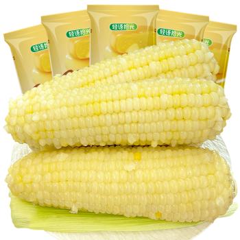 金沃瑞丰有机 白糯玉米棒220g*5根＞2.2斤 新鲜甜粘黏真空 非转基因 早餐 /粮油调味 /杂粮 /谷米类 商品图6